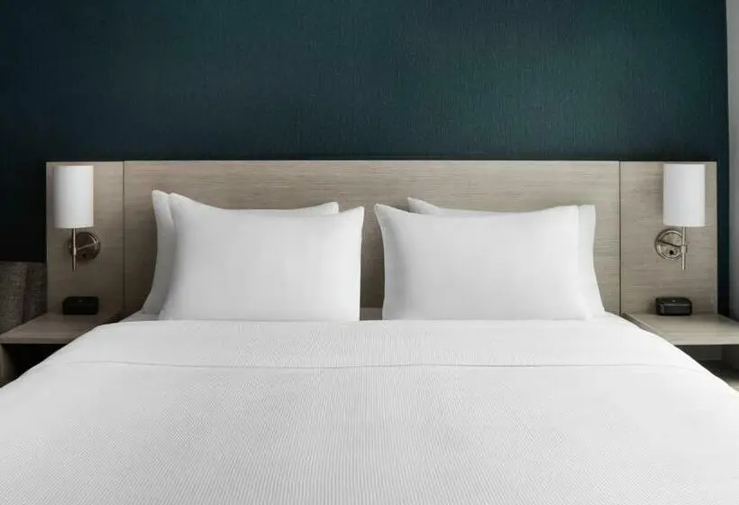اتاق استاندارد با تخت بزرگ, Hyatt Place New York Chelsea