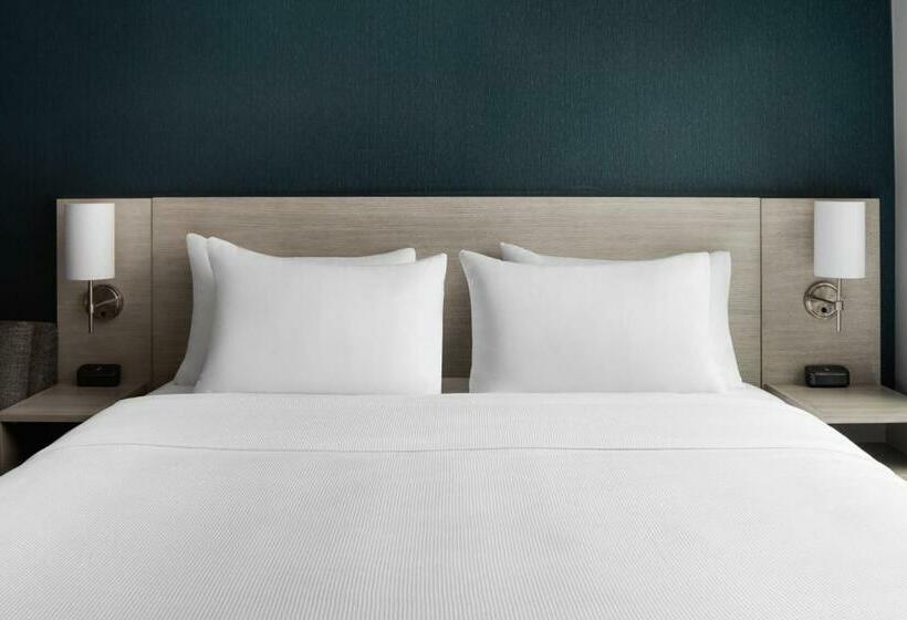 장애인을 위한 킹사이즈 침대 스탠다드 룸, Hyatt Place New York Chelsea