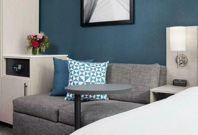 اتاق استاندارد با تخت بزرگ, Hyatt Place New York Chelsea