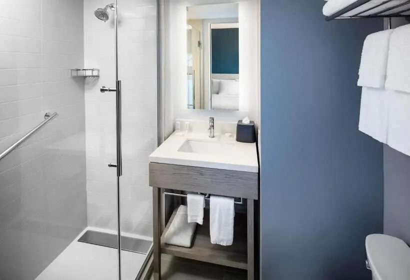 اتاق استاندارد با تخت بزرگ, Hyatt Place New York Chelsea