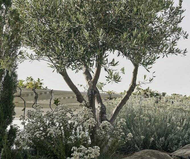 Номер Deluxe Вид на Сад, Myconian Kyma, A Member of Design Hotels