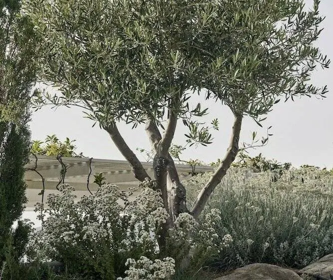 Deluxe-huone Puutarhanäkymä, Myconian Kyma, A Member of Design Hotels