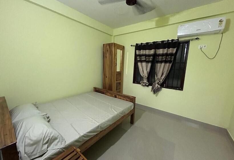 豪华工作室, D Nest