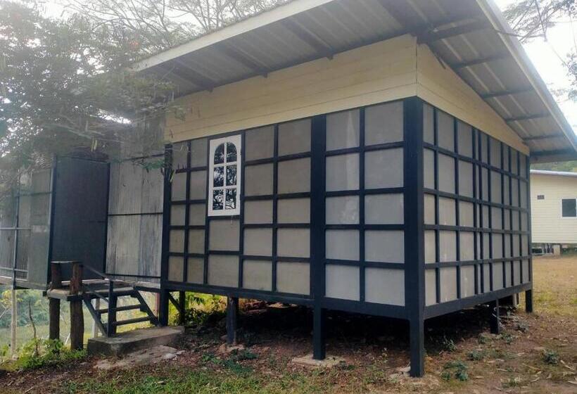 Cameră Standard cu Balcon, Doi Sang Farm Stay   ดอยซางฟาร์มสเตย์