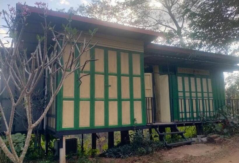Семейный Номер, Doi Sang Farm Stay   ดอยซางฟาร์มสเตย์