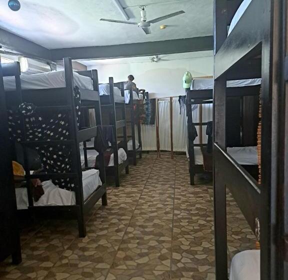 공동 객실, Hidden Jems Mahahual Hostel