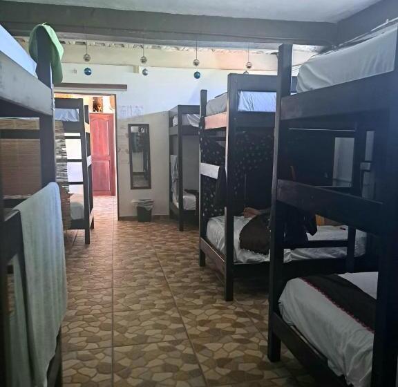 공동 객실, Hidden Jems Mahahual Hostel