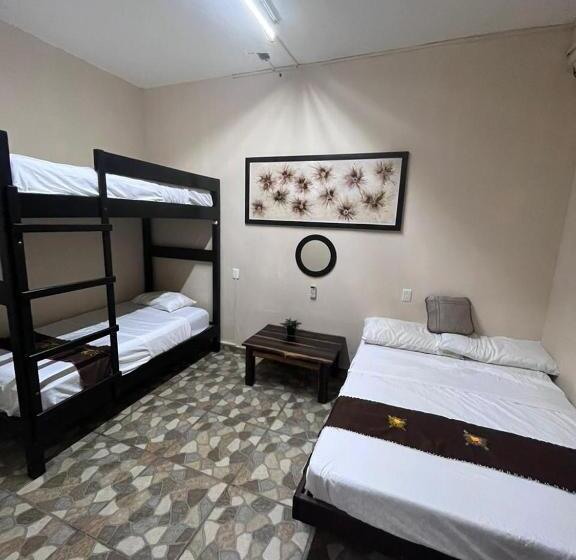 Семейный Номер, Hidden Jems Mahahual Hostel