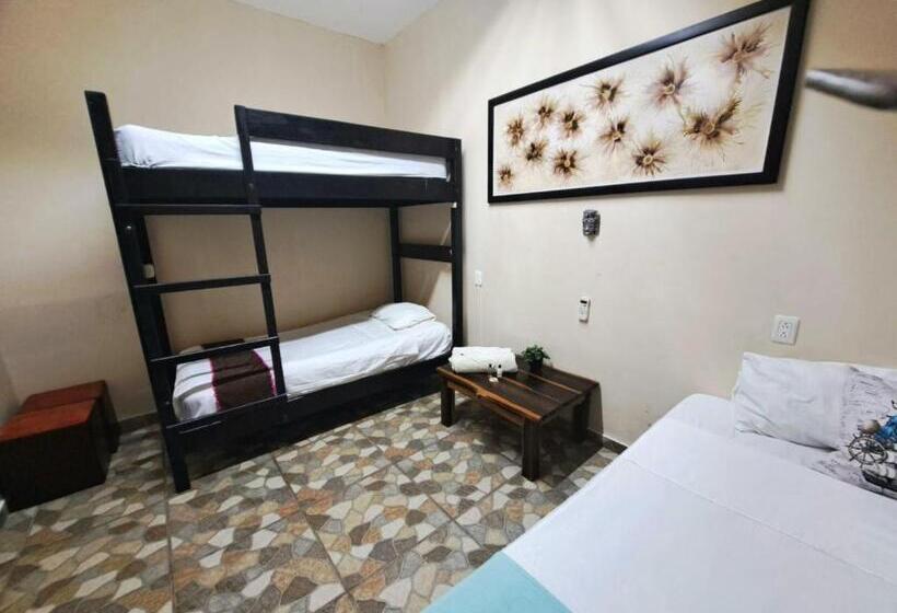 ファミリールーム, Hidden Jems Mahahual Hostel