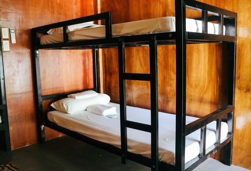 スタンダード４人部屋, Blue Palm Mountain Resort