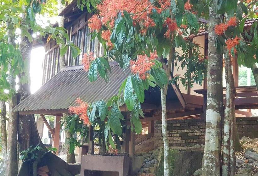 Четырехместный Номер Классик, D Impiana Riverview Chalet # Lenggong