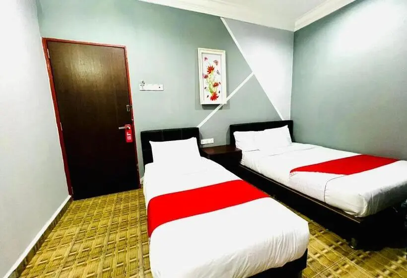 Standard Kolmen Hengen Huone, Daily Inn