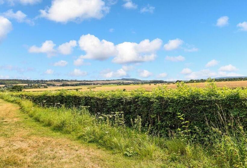 ویلای استاندارد 3 خوابه, Summio Vakantiepark Reevallis