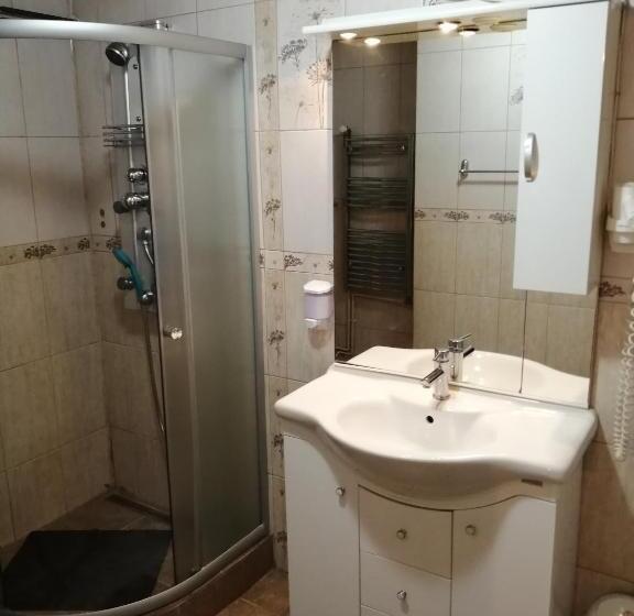 חדר סטנדרט, Complex Turistic Nora Rau Sadului