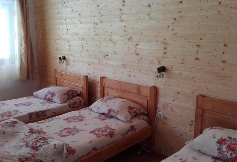 חדר משפחתי, Complex Turistic Nora Rau Sadului