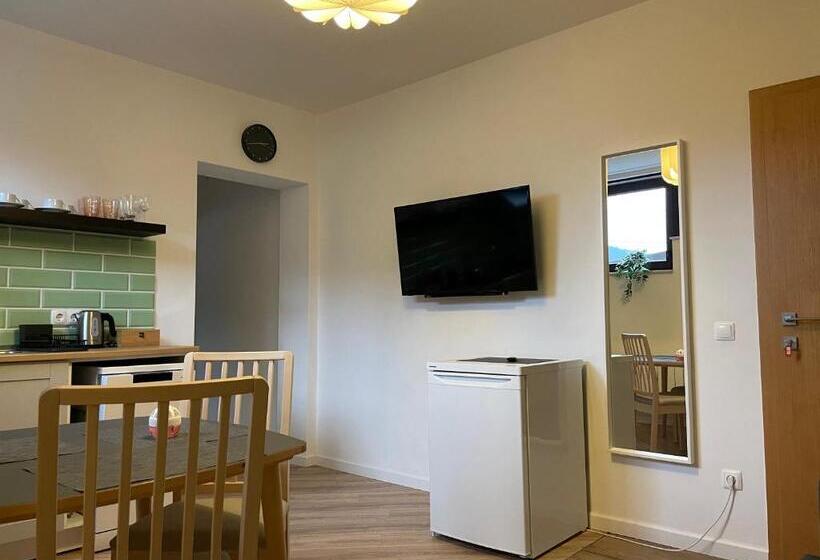 آپارتمان 1 خوابه, All Seasons Apartments Laško