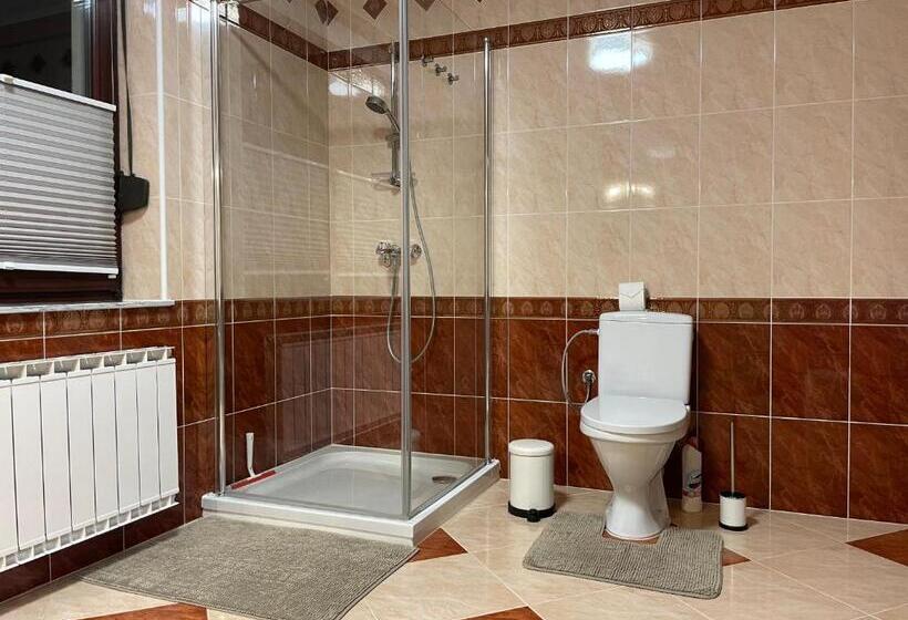 آپارتمان 1 خوابه با تراس, All Seasons Apartments Laško