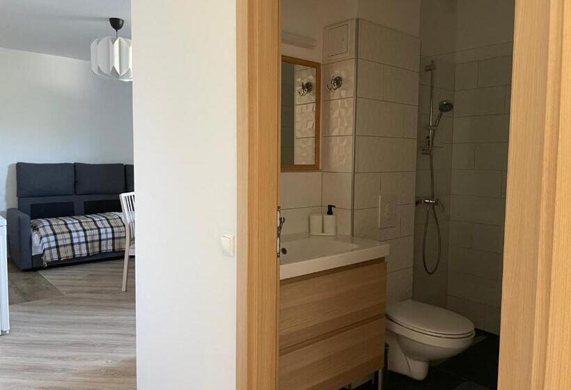 آپارتمان 1 خوابه, All Seasons Apartments Laško