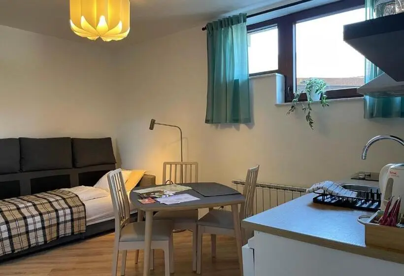 آپارتمان 1 خوابه, All Seasons Apartments Laško