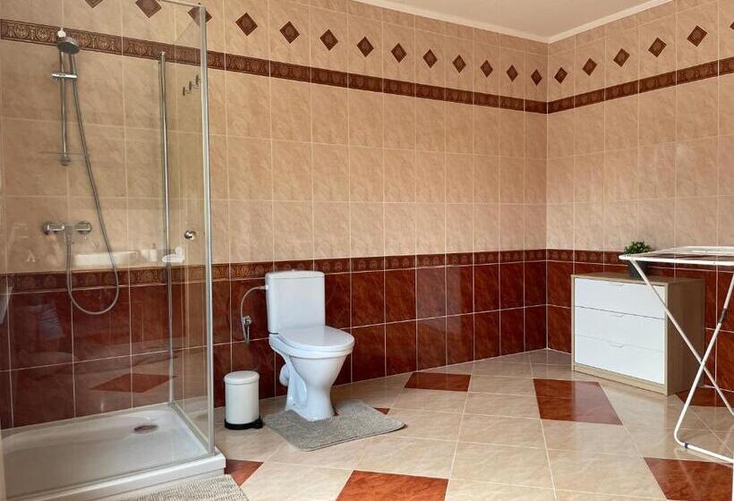 آپارتمان 1 خوابه با تراس, All Seasons Apartments Laško