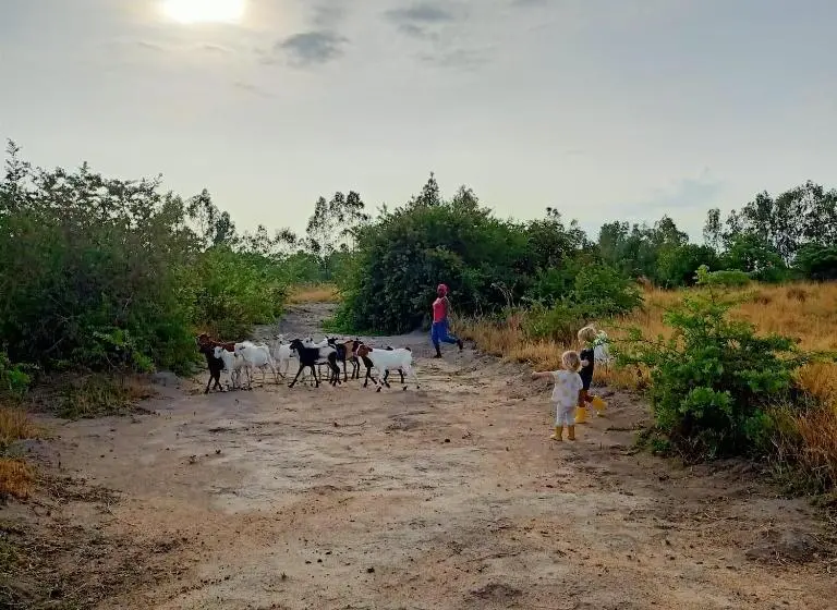 اتاق استاندارد با چشم‌انداز کوهستان, Mark S Farm & Ecolodge