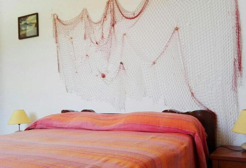 スタンダードルーム, Belvedere Tramontana