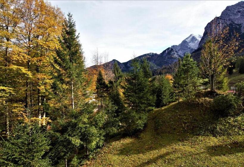 バルコニー付きスタンダードルーム, Ferienhaus Waldwinkl