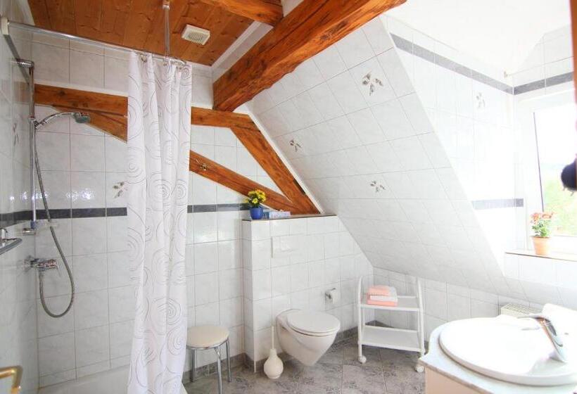 Номер Стандарт, Pension Im Vorhof