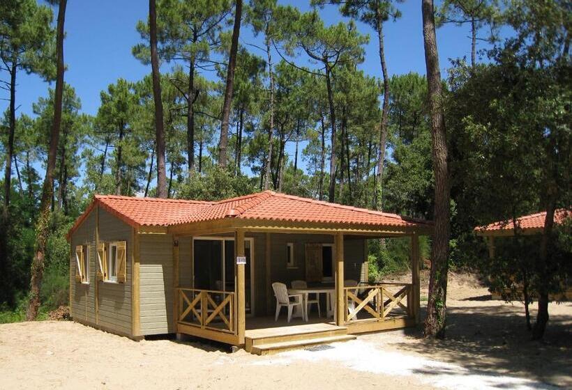 一居室高级别墅, Les Buissonnets