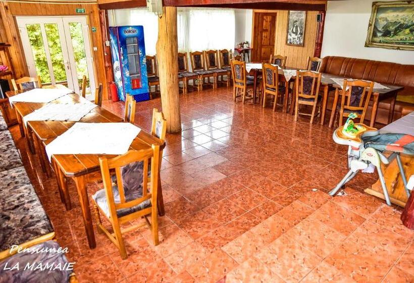 ‫فيلا غرفة نوم واحدة, Pensiunea La Mamaie