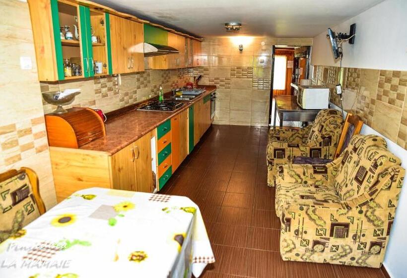 ‫فيلا غرفة نوم واحدة, Pensiunea La Mamaie