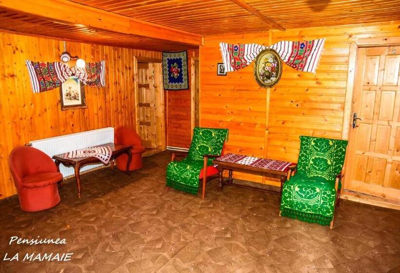 ‫فيلا غرفة نوم واحدة, Pensiunea La Mamaie