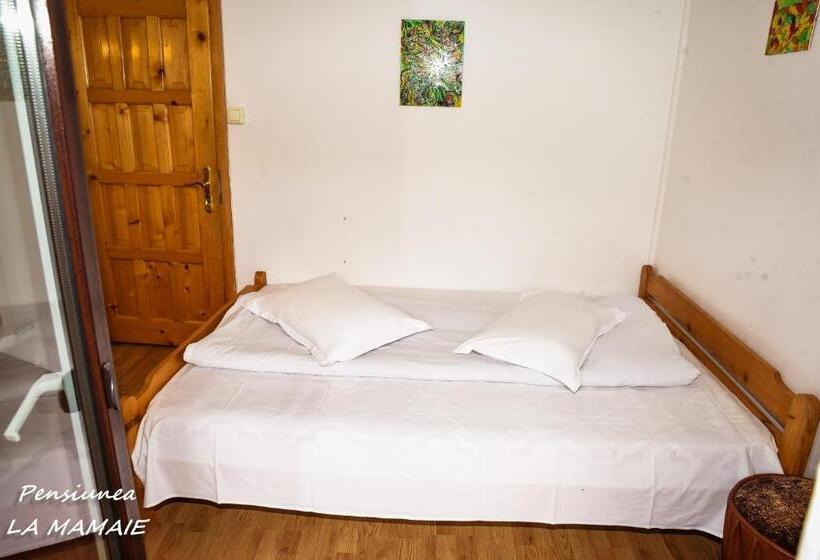 ‫فيلا غرفة نوم واحدة, Pensiunea La Mamaie