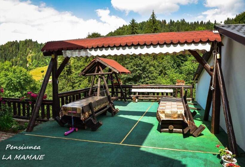 ‫فيلا غرفة نوم واحدة, Pensiunea La Mamaie