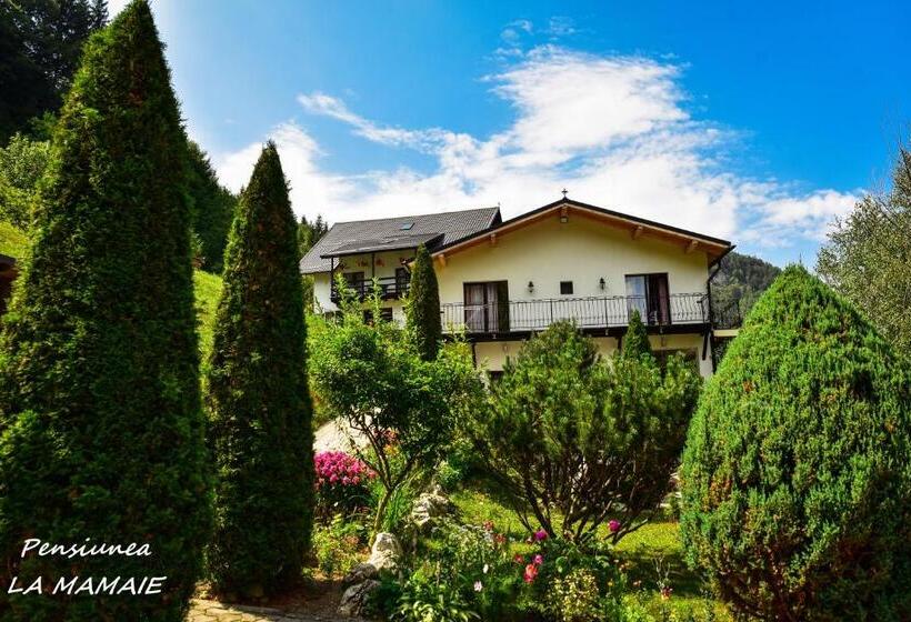 ‫فيلا غرفة نوم واحدة, Pensiunea La Mamaie