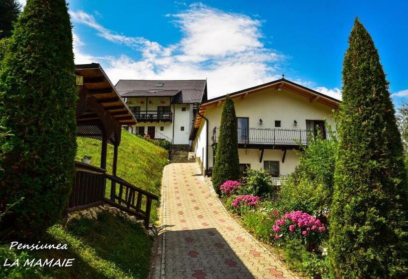 ‫فيلا غرفة نوم واحدة, Pensiunea La Mamaie