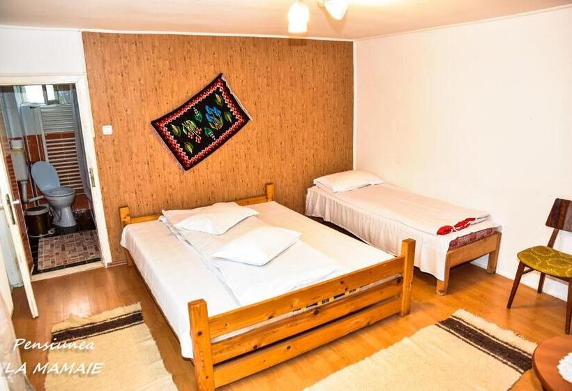 ‫فيلا غرفة نوم واحدة, Pensiunea La Mamaie