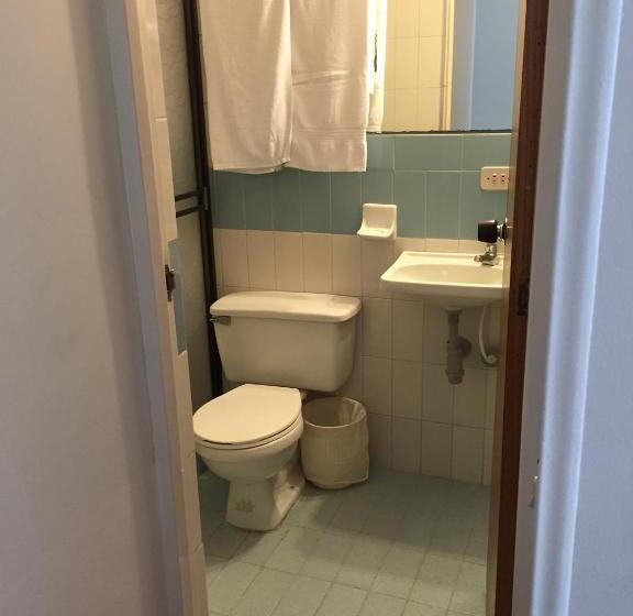 Quarto Estandar, Libertadores