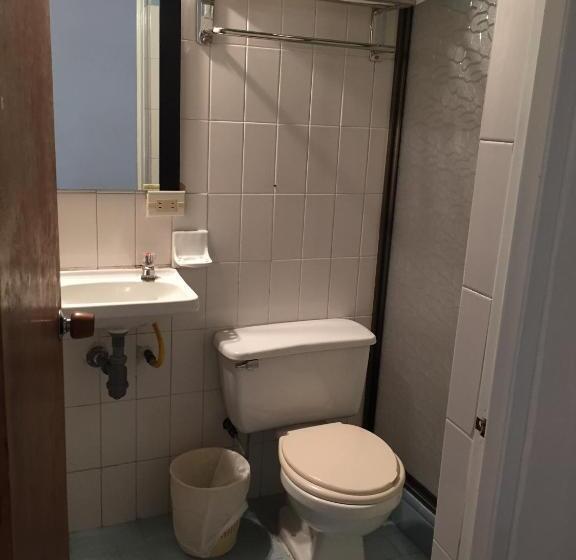 Quarto Estandar, Libertadores