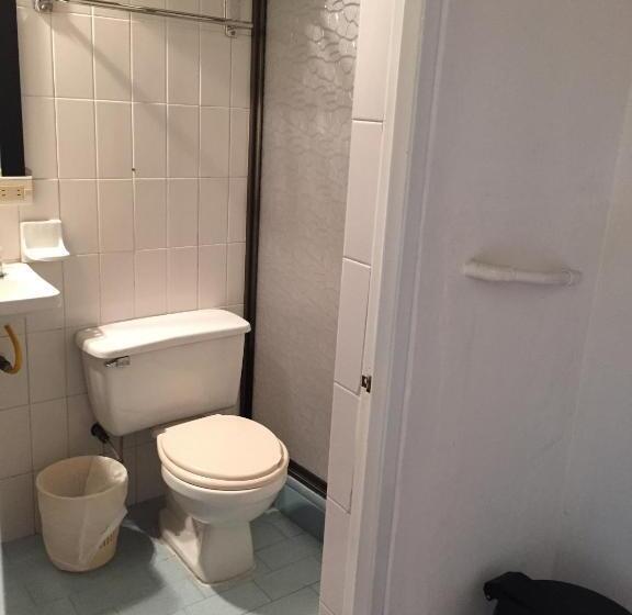 Quarto Estandar, Libertadores