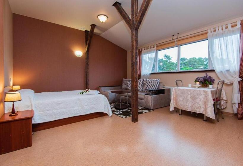 استودیوی استاندارد, Po Jūros Banga