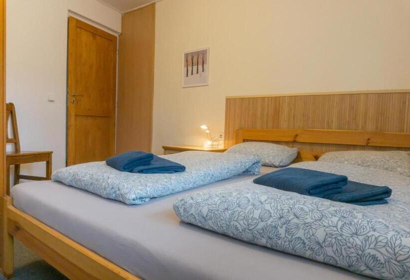 스탠다드 룸, Pension čeri