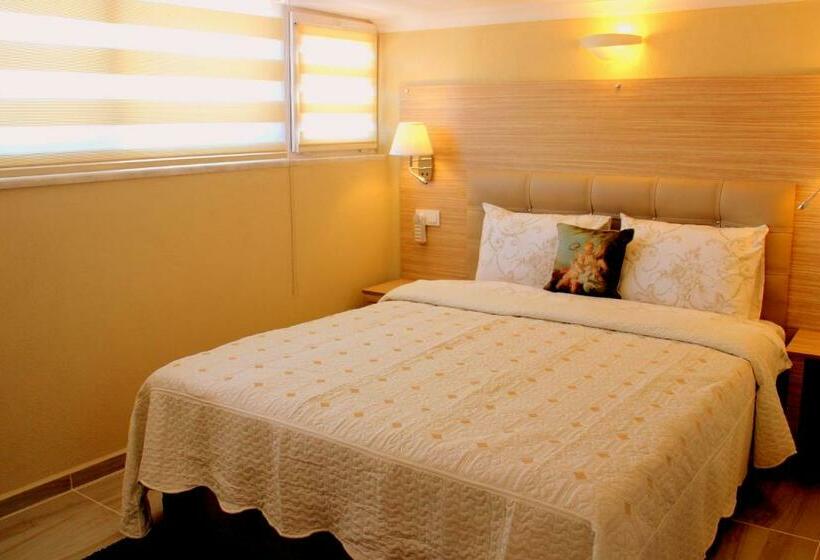 屋根裏部屋風スタンダードルーム, Arp Dalyan