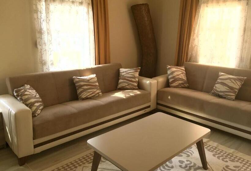 ファミリールーム, Arp Dalyan