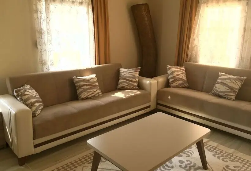 اتاق خانوادگی, Arp Dalyan