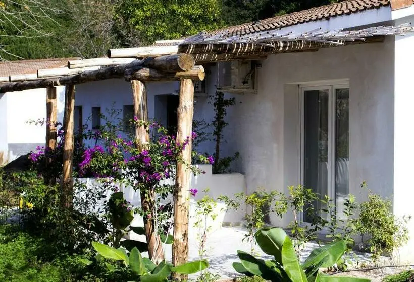 اتاق استاندارد, Bv Kalafiorita Resort