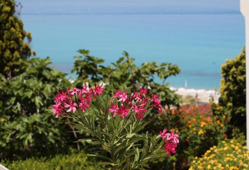 豪华房间, Bv Kalafiorita Resort