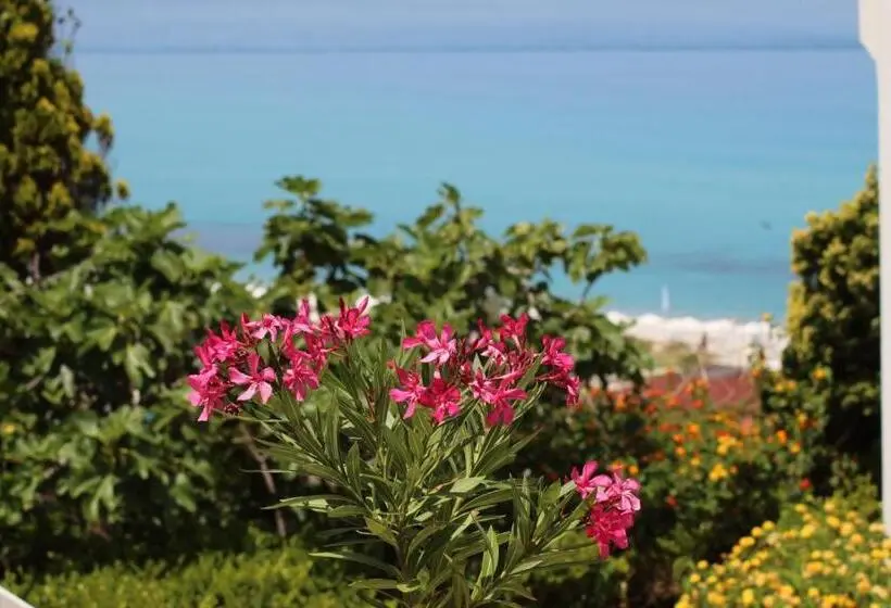 اتاق لوکس, Bv Kalafiorita Resort