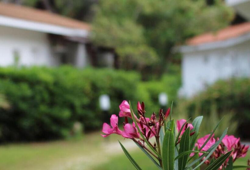 اتاق استاندارد سه نفره, Bv Kalafiorita Resort
