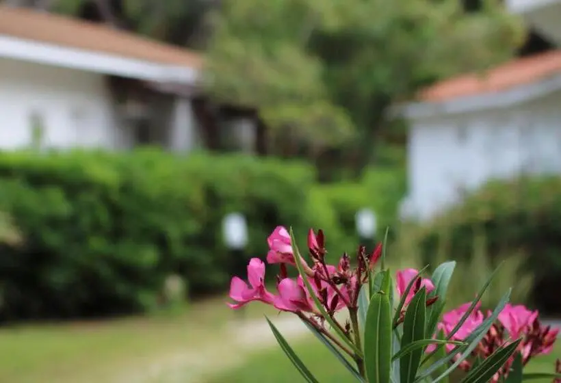اتاق استاندارد سه نفره, Bv Kalafiorita Resort